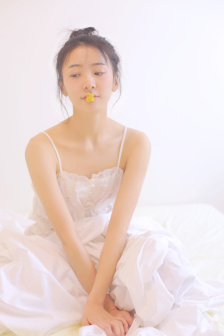 疯狂的蠢贼